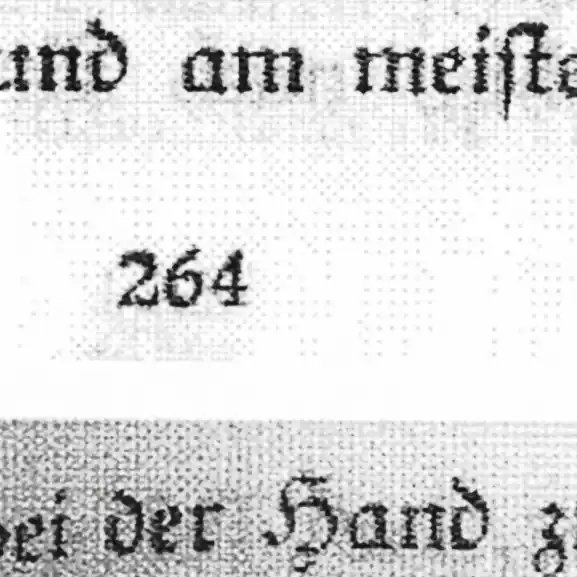 Stilisierter Auszug eines in Frakturschrift gedruckten Textes, man erkennt u. a. die Zahl 264.