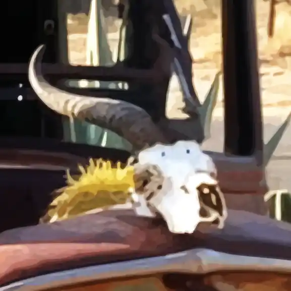 Stilisierter Ausschnitt des Farbfotos, das ein Autowrack inmitten von Kakteen in einer Wüstenlandschaft zeigt.