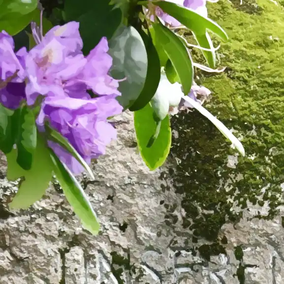 Ein Findling aus Afrika.